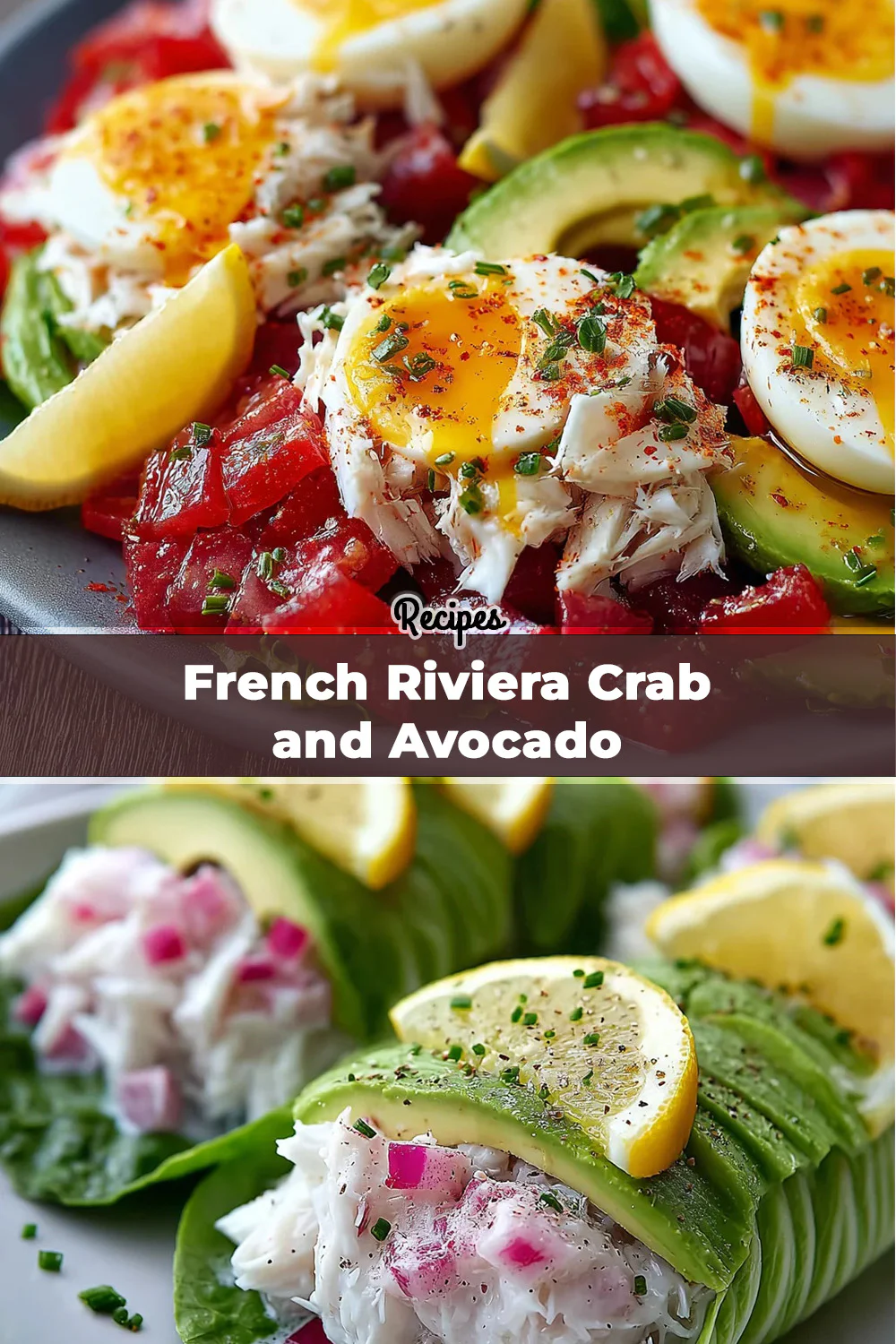 تصميم المقال